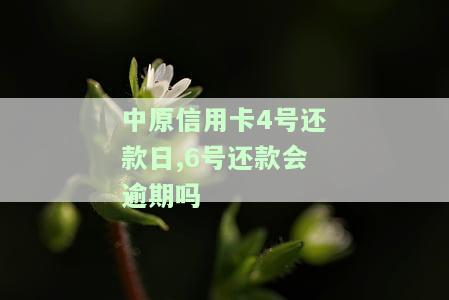 中原信用卡20号账单日，具体几号为还款日？