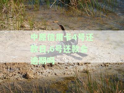 中原信用卡4号还款日,6号还款会逾期吗-中原信用卡4号还款日,6号还款会逾期吗