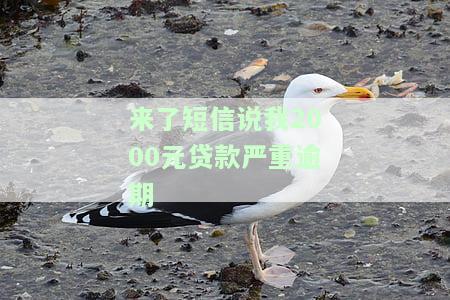收到短信说贷款逾期的是诈骗吗？如何辨别真伪及应对措施
