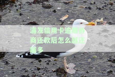 浦发银行协商还款后又逾期能否再次协商？二次分期逾期两天怎么处理？