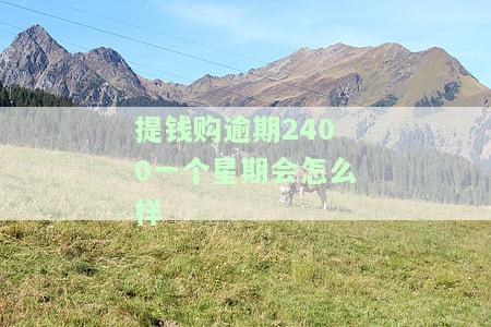 提钱购逾期2400一个星期会怎么样