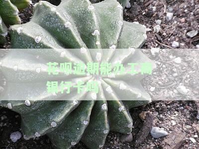 花呗逾期能否影响申请信用卡？