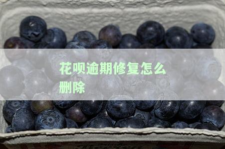 花呗如何修复逾期记录及影响？