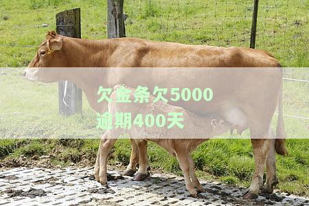 欠金条3000逾期500天，可能被起诉，是否已上征信？