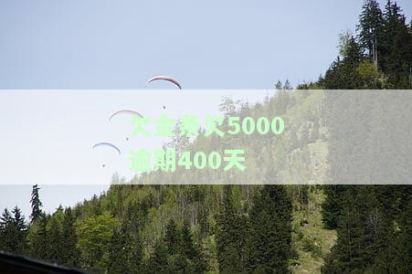 欠金条欠5000逾期400天-欠金条3000逾期500
