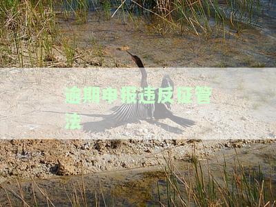 逾期申报违反征管法哪一条？税收征管法第几条适用？逾期未申报是否构成违法行为？逾期申报应如何处罚？