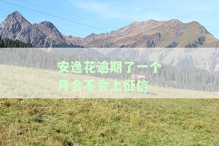 安逸花逾期一个月会否上征信？影响再次借款及信用卡使用？