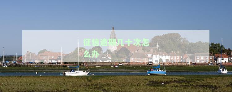 “征信逾期几十次怎么办理？影响信用卡、贷款及房贷申请，如何消除逾期记录？”
