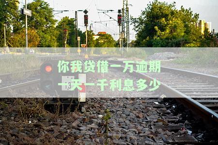 你我贷借一万逾期一天一千利息多少钱？一年未还结果如何？