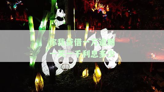 你我贷借款1万2却要还1万6千多？利息多少算正常？