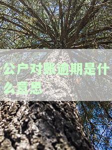 公户对账逾期是什么意思-公户对账逾期是什么意思啊