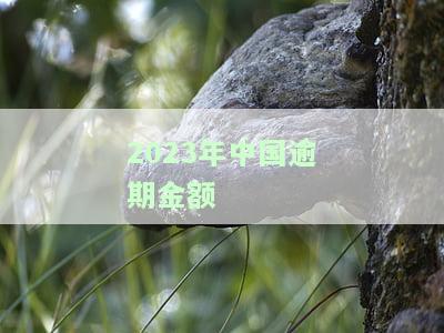 2020中国逾期率：全国统计与最新状况