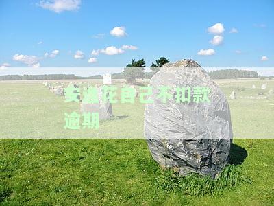 安逸花还款问题：到还款日未扣款怎么办？