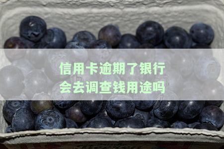 信用卡逾期后，银行是否会调查资金用途？知乎讨论