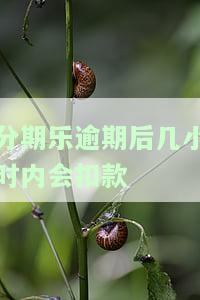 分期乐逾期几天没事？逾期3天、几小时有影响吗？逾期还款后能否再次借款？会影响征信吗？