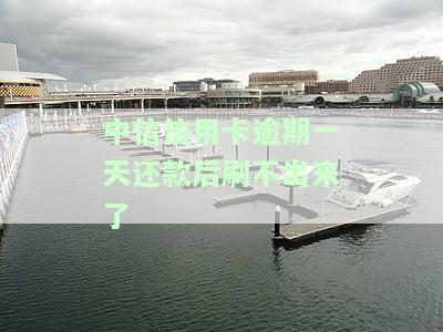 中信信用卡逾期一天还款后刷不出现，为何？逾期有何影响？