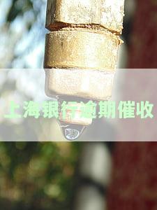 上海银行逾期催收：私人号码来电，如何处理？