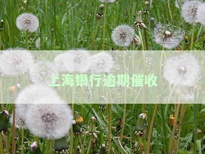 上海银行催款电话及号码为何是天津号？详细解析