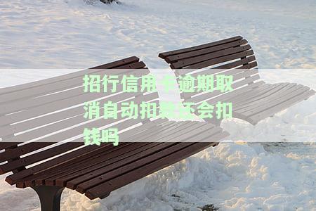 招行信用卡逾期取消自动扣款还会扣钱吗？如何确保安全避免额外费用？