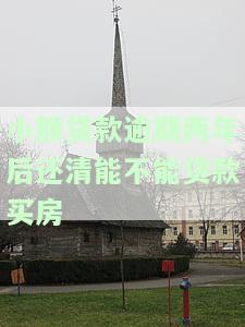 小额贷款逾期两年后还清能否再次贷款买房？逾期后果及解决方法解析