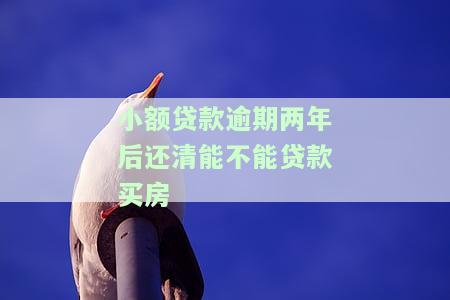 小额贷款逾期还清了对以后贷款买房有影响吗？解答与解决办法