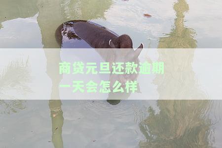 商贷晚一天会逾期吗？影响及后果详解