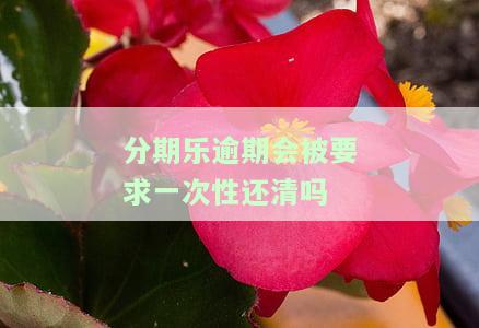 分期乐分期逾期后会被要求一次性还清全部金额吗？