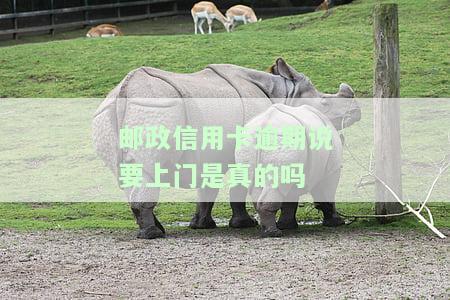 欠邮政银行信用卡无力偿会有啥后果？上门催收时间及解决办法