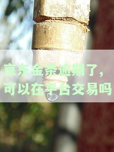 京东金条逾期后能否在京东购物及申请银行贷款？