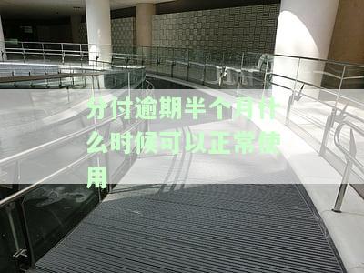 分付逾期20天还清后能否继续使用？逾期后恢复使用时间及影响解析