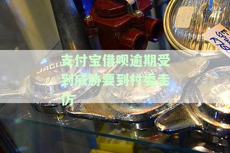 支付宝借呗逾期：真的会有人上门采访吗？