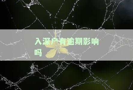 深圳入户征信逾期：影响、解决方法及恢复时间全解析