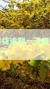 房贷逾期一天滞纳金多少？计算方法及影响解析