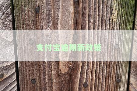 支付宝逾期处理方案2020：最新版及处理方法全攻略