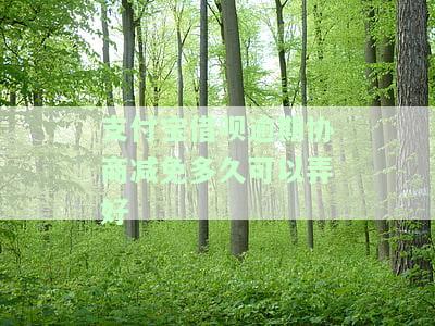 支付宝借呗逾期能否申请减免费用？真的安全可靠吗？