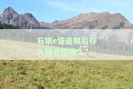 石银e贷申请条件详解：如何申请、个人最高可贷金额及填写资料指南
