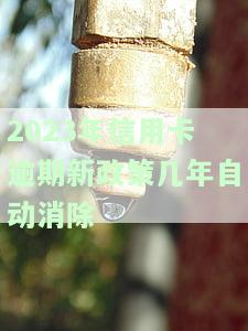2023年信用卡逾期新政策：几年自动消除逾期记录？