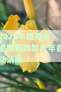 2021年信用卡逾期下半年最新政策全解析
