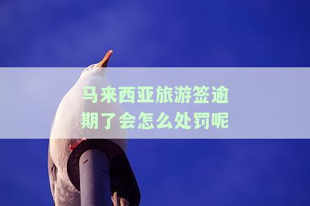 马来西亚旅游签证过期后能否回国？需要多长时间办理？现在的情况如何？知乎上有相关答案吗？