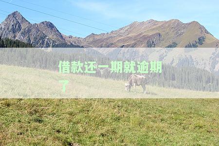 借款还一期就逾期了：如何处理？与不还款有何区别？是否构成诈骗？