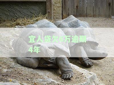 宜人贷欠款逾期四百多天是否会在北京互联网法院被起诉？逾期5天需一次性还清欠款