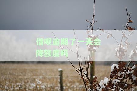 借呗逾期一天会降额度吗？解决方案全解析！