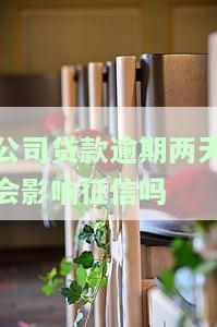 公司贷款逾期一天会有什么后果？如何处理和处罚？