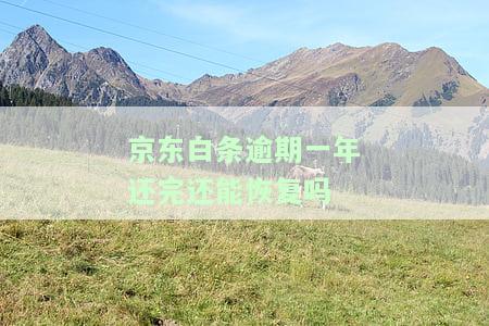 京东白条逾期一年后还款，能否恢复？已逾期三年未还5000多，安全性如何？知乎上有人问过吗？