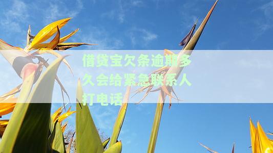2021借贷宝逾期多久会给紧急联系人打电话？逾期多久会影响信用记录？是否会拨打公司电话？催收会持续多久，只会打给本人吗？
