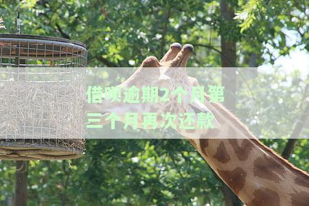 借呗逾期2个月后，第三个月再次还款会有什么影响？