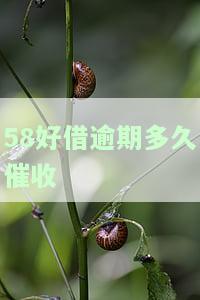 58好借逾期多久催收-58好借逾期多久催收会上门
