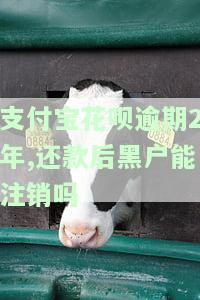 支付宝花呗逾期2年，还款后能否注销黑户？安全吗？