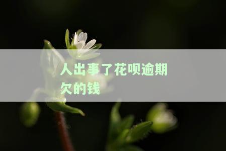 花呗逾期无力偿还被法院起诉是否会坐牢？收到律师函后多久会被起诉？解决方案是什么？
