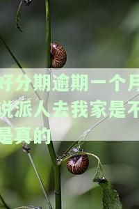 好分期逾期2天会给家里人打电话吗？真的会联系紧急联系人吗？逾期3天又如何？